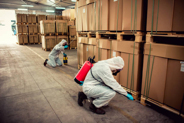 Flea Control Services in St Matthews, SC