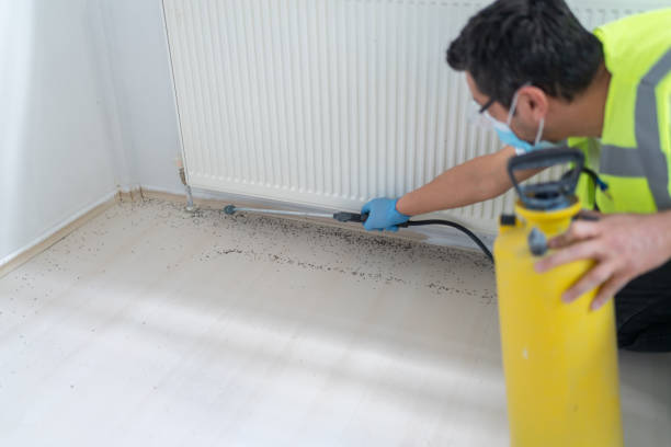 Best Affordable Pest Control Services  in St Matthews, SC